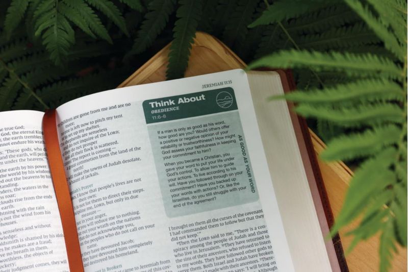 Biblia Zondervan NVI para Hombres con Cubierta de Cuero Suave Marrón