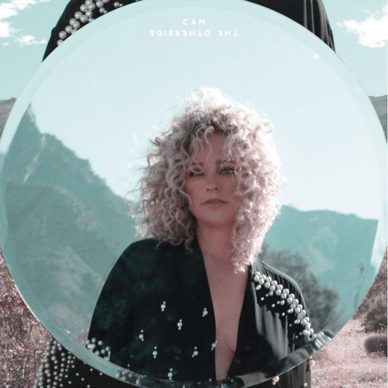 Vinilo SONY MUSIC – The Otherside (Pop)