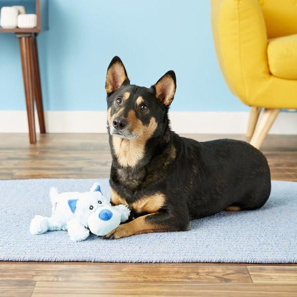 Juguete para perro KONG Cozie de peluche – Pack de 2 tamaño mediano