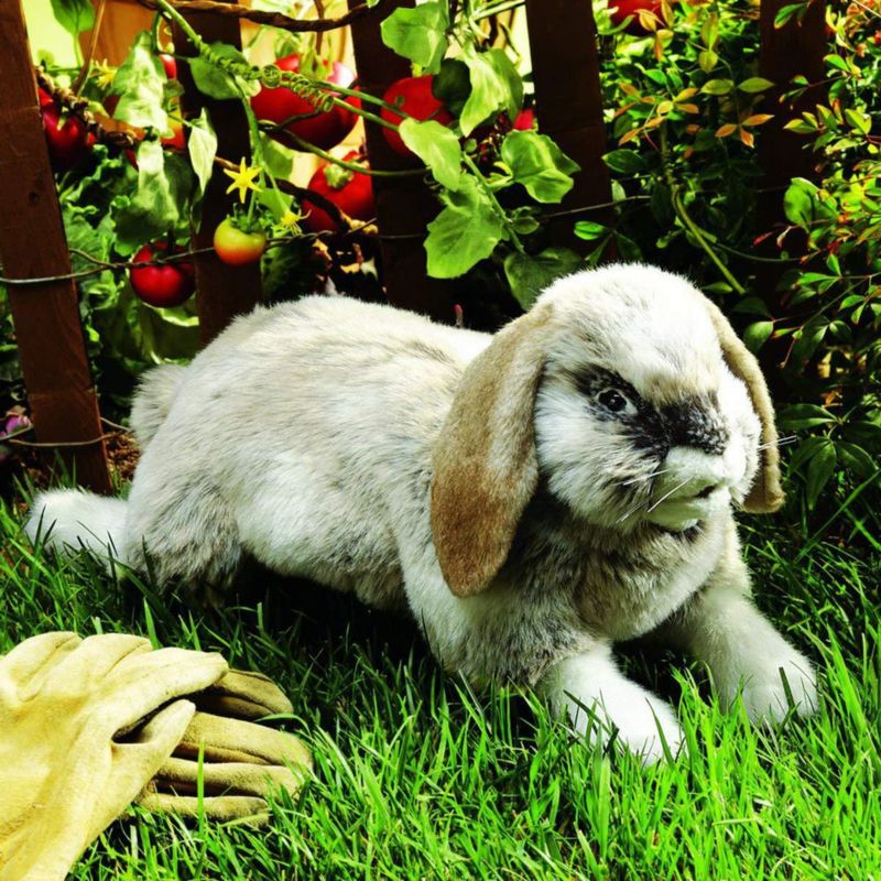 Títere de Mano Conejo Holland Lop Folkmanis de Peluche 38 cm