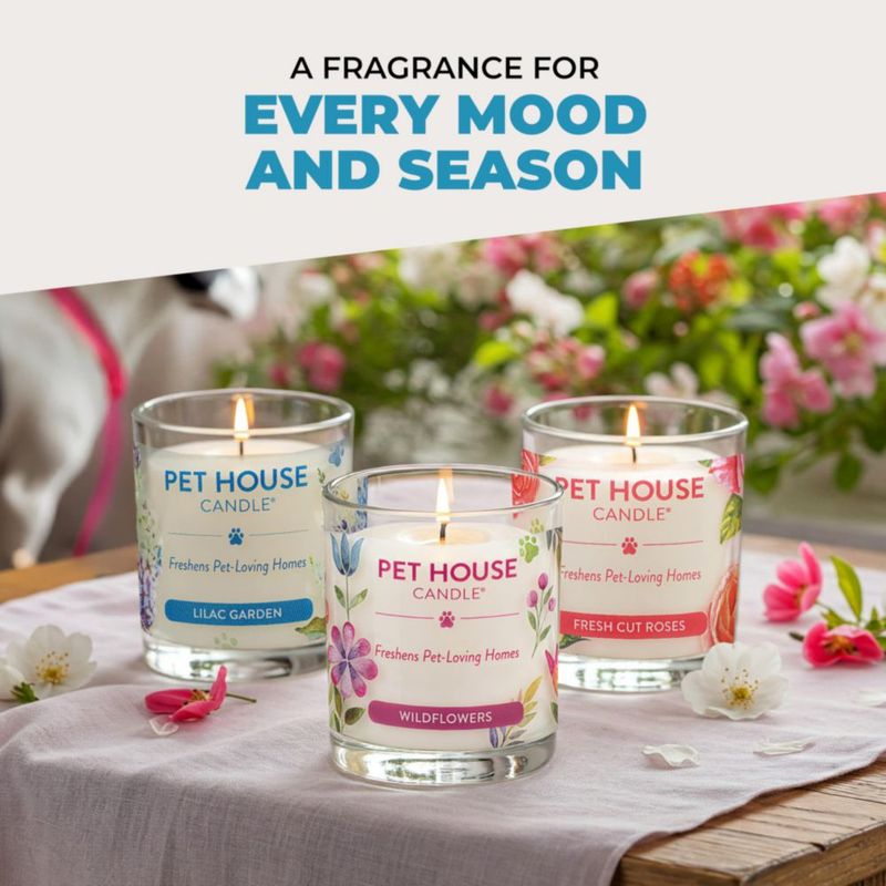 Set de 2 velas One Fur All Algodón Lavado al Sol a base de plantas