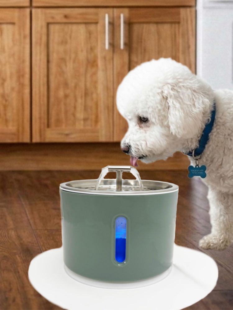 Fuente para mascotas Level One Pets 24 L filtrada y silenciosa