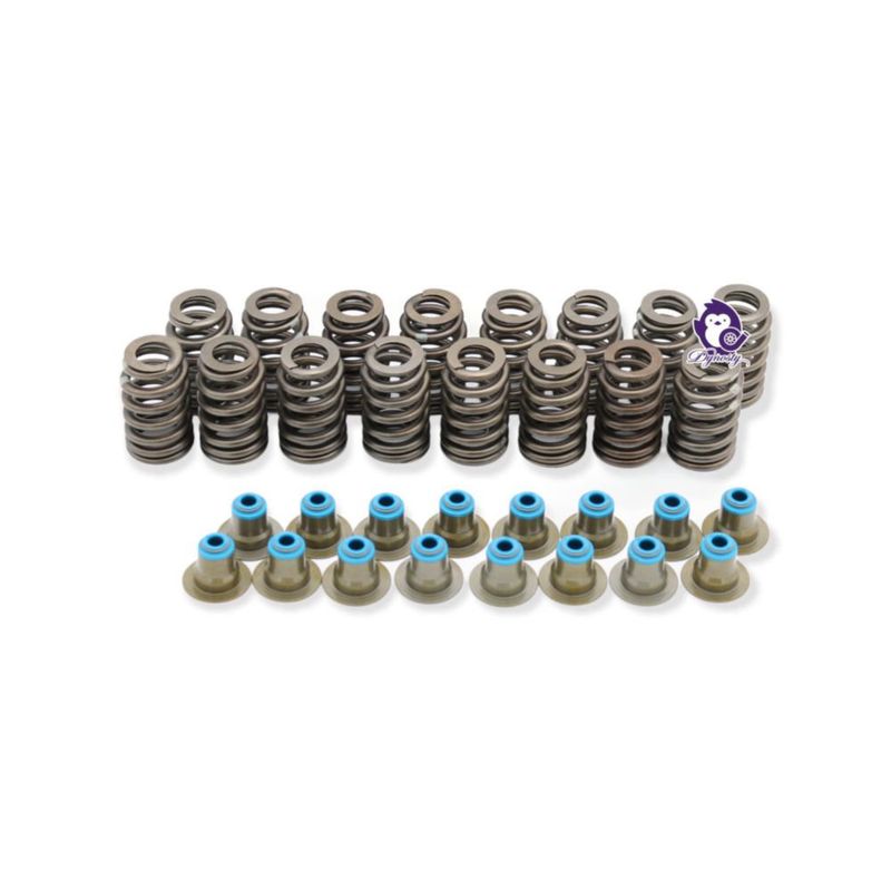 Resortes de Válvula Dynosty LS6 .560'' (1.4 cm) Elevación con Sellos