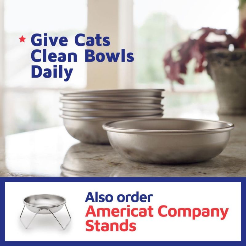 Juego de 6 tazones para gato de 14 cm acero inoxidable – Americat Company