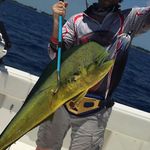 Gancho de Pesca SANLIKE 140 cm Telescópico