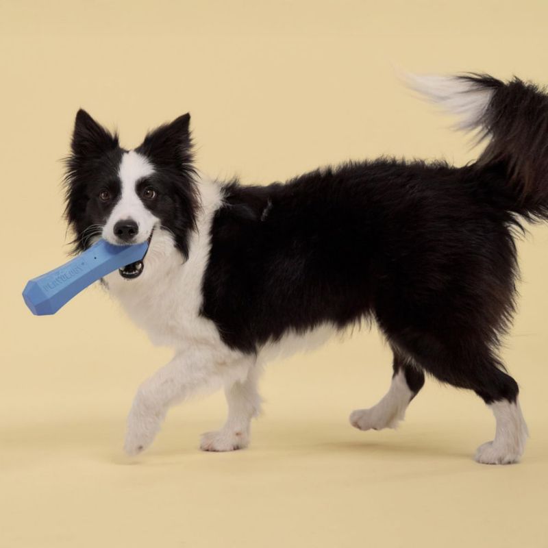 Juguete para perro Playology Palo chirriante jumbo con aroma a arándano