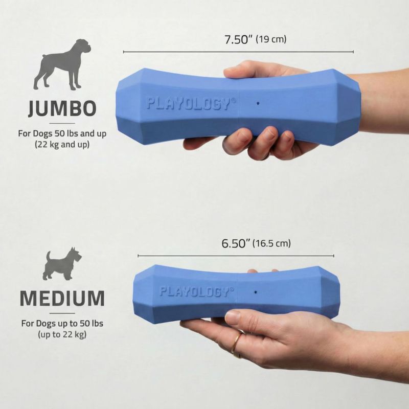 Juguete para perro Playology Palo chirriante jumbo con aroma a arándano