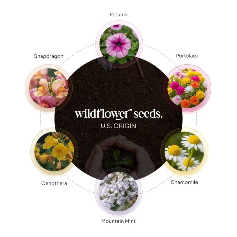 Set Favor Seed Bloom 48 Corazones Rosa con Semillas de Flor Silvestre