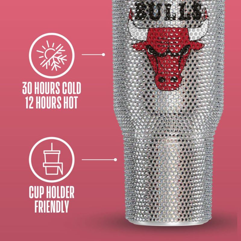 Vaso Térmico Hydrapeak Chicago Bulls 12 L con Detalle de Cristales
