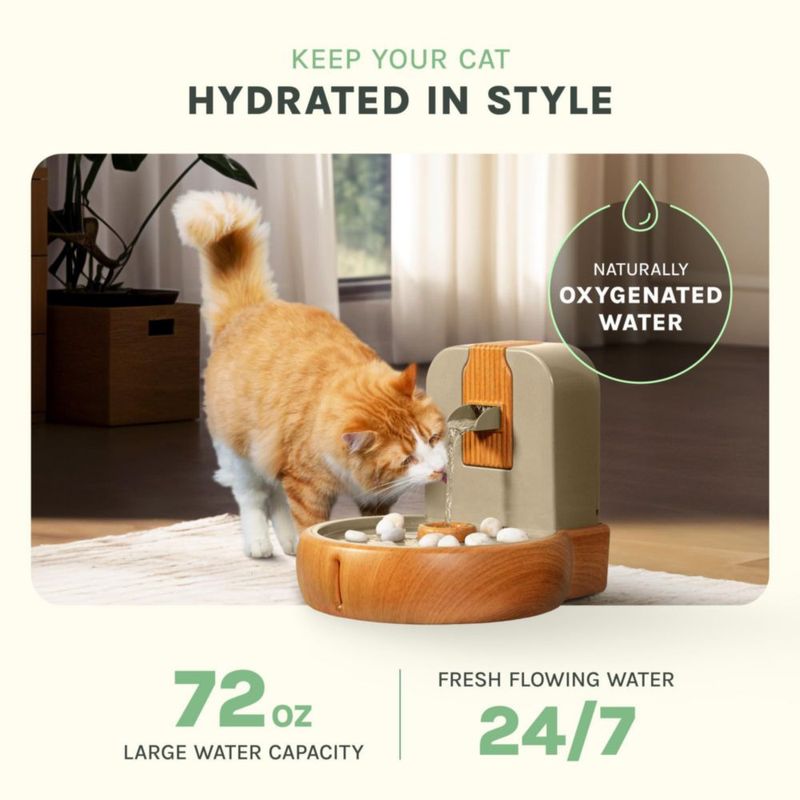 Fuente para Gatos PURRVANA Eco‑Amigable Zen Sin Salpicaduras