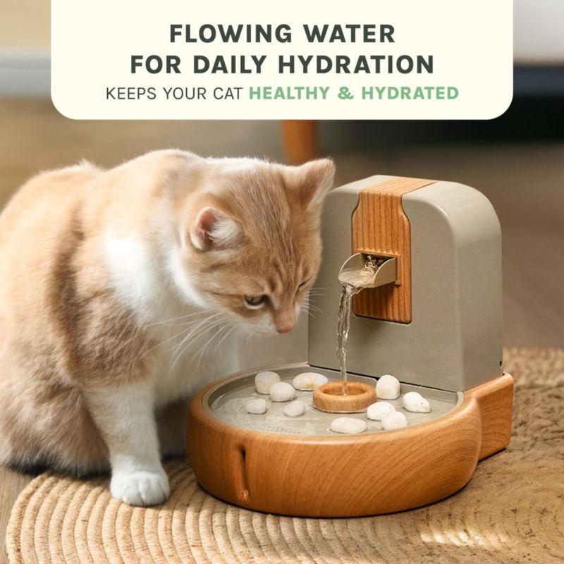 Fuente para Gatos PURRVANA Eco‑Amigable Zen Sin Salpicaduras