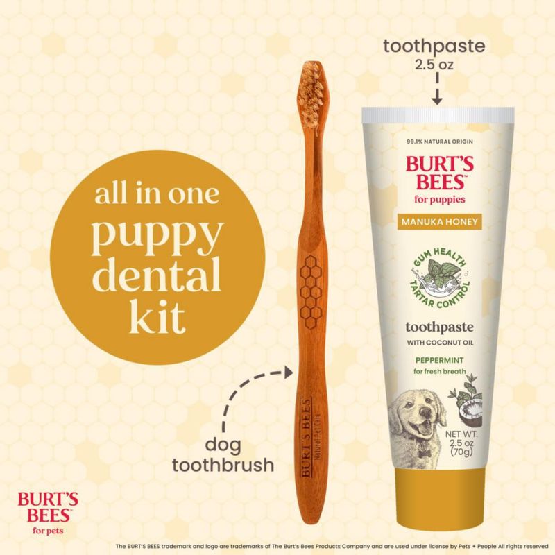 Kit dental para cachorros BURT'S BEES FOR PETS 70 g menta