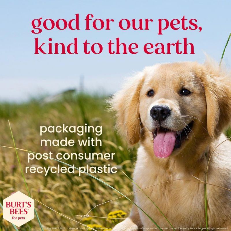 Kit dental para cachorros BURT'S BEES FOR PETS 70 g menta