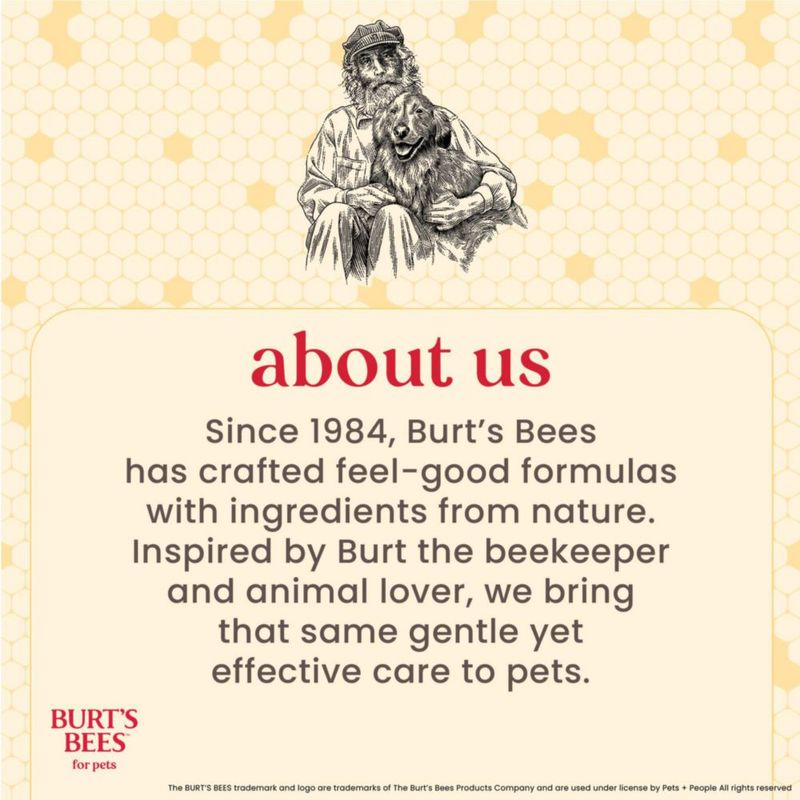 Kit dental para cachorros BURT'S BEES FOR PETS 70 g menta