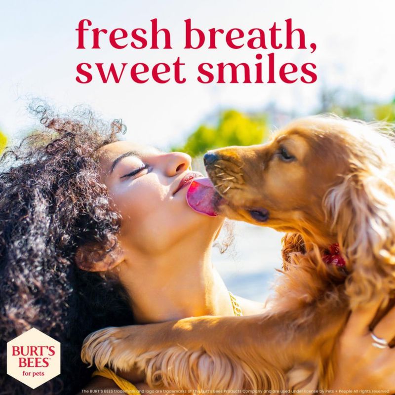 Kit dental para cachorros BURT'S BEES FOR PETS 70 g menta