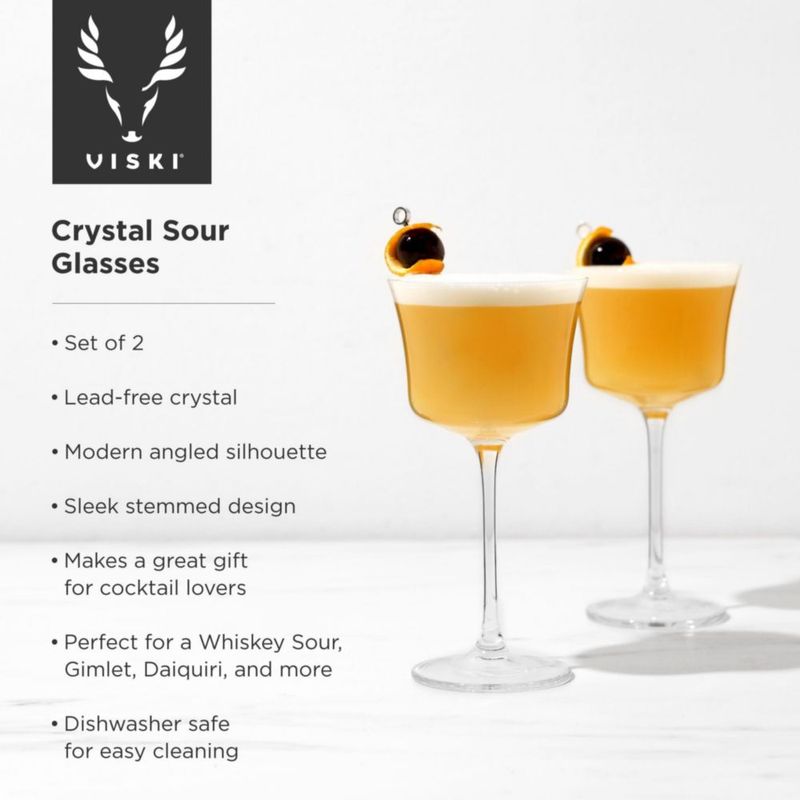 Vasos de cóctel Viski 230 ml juego de 2