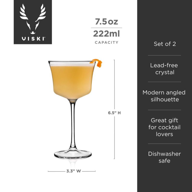 Vasos de cóctel Viski 230 ml juego de 2