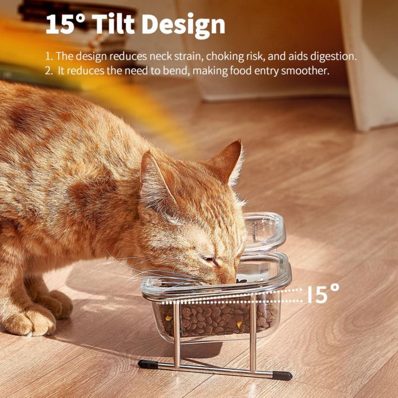 Comederos para Gatos Hannadepot Elevados de Vidrio con Inclinación de 15°