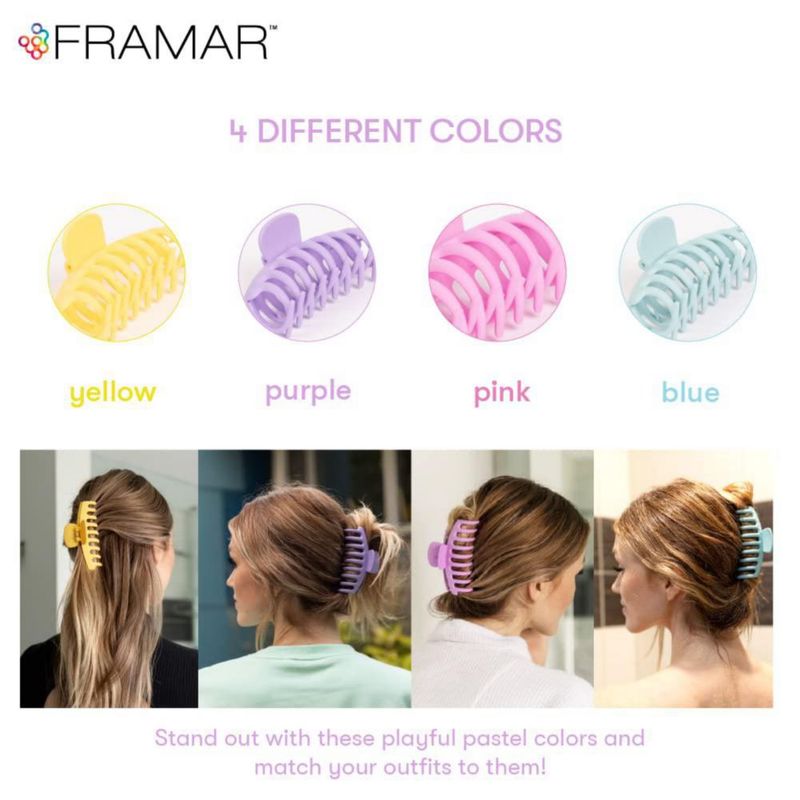 Pinza de pelo FRAMAR Grande Acabado Mate - Pack de 4