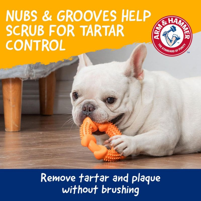 Juguete masticable dental Nubbies de Arm & Hammer con sabor a mantequilla de maní