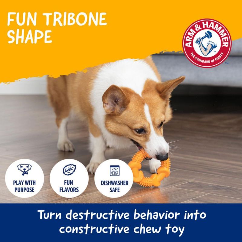 Juguete masticable dental Nubbies de Arm & Hammer con sabor a mantequilla de maní
