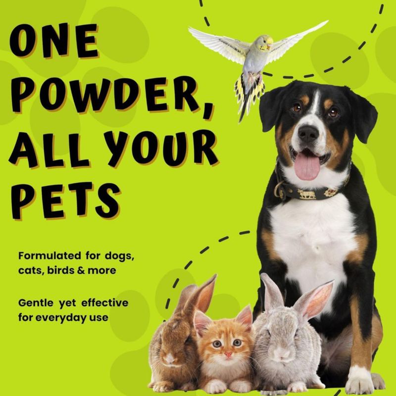 Polvo Hemostático PetEyez 57 g para Perros Gatos y Aves
