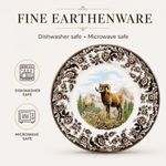 Plato de Ensalada Spode 20 cm Multicolor con Borrego de Cuernos Grandes