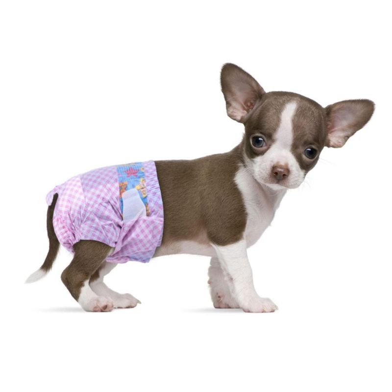 Pañales Desechables Flying Paws para Perra XXS - 10 unidades