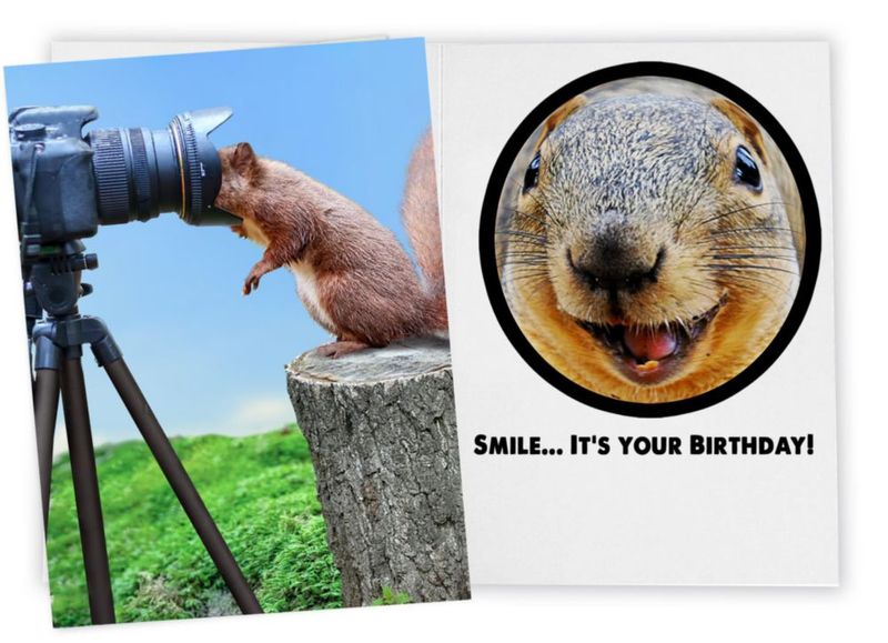 Tarjeta de cumpleaños divertida para ella él amiga compañero de trabajo hermana o cualquier persona que adore fotos de animales divertidas
