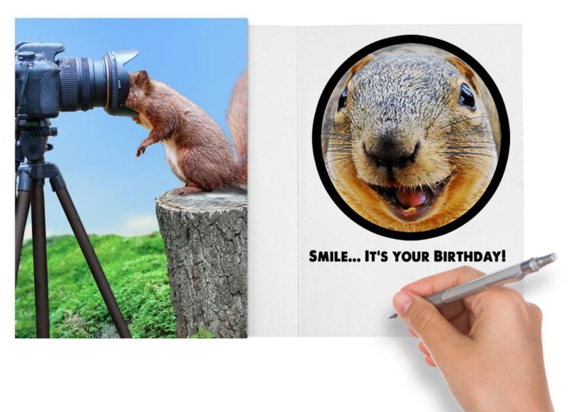 Tarjeta de cumpleaños divertida para ella él amiga compañero de trabajo hermana o cualquier persona que adore fotos de animales divertidas