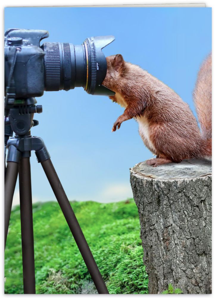 Tarjeta de cumpleaños divertida para ella él amiga compañero de trabajo hermana o cualquier persona que adore fotos de animales divertidas
