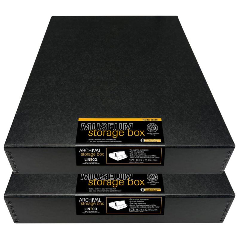 Caja de Almacenamiento Lineco 42x53x8 cm Negra (2 unidades)