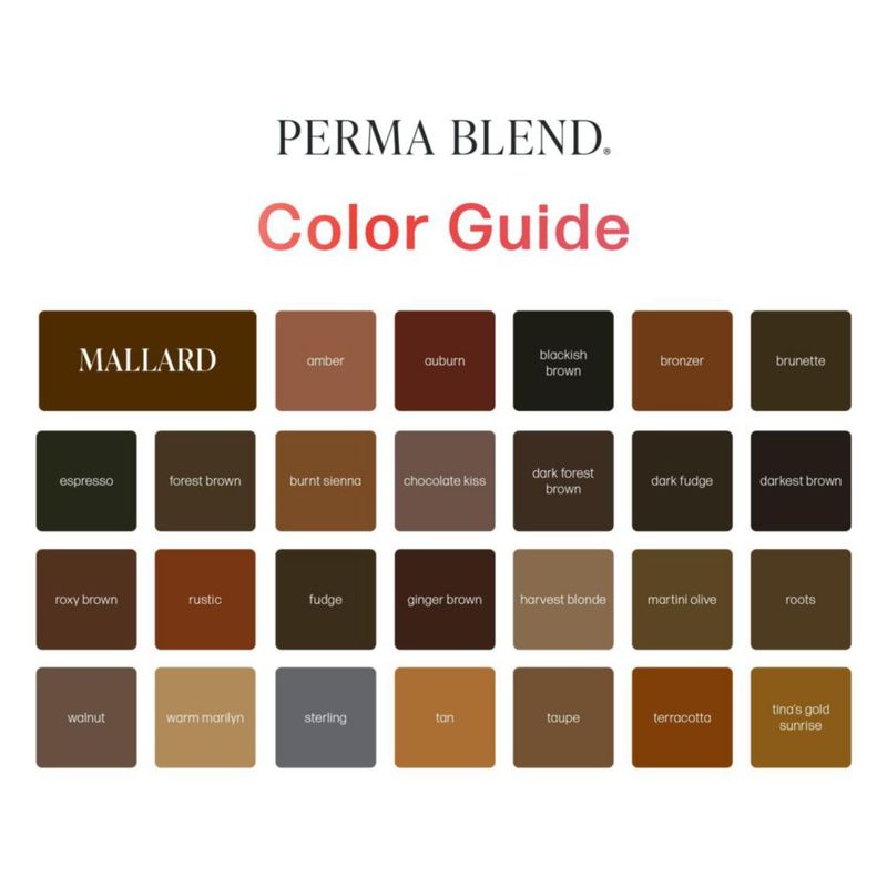 Tinta para tatuaje Perma Blend 4×15 ml Kit de tonos claros