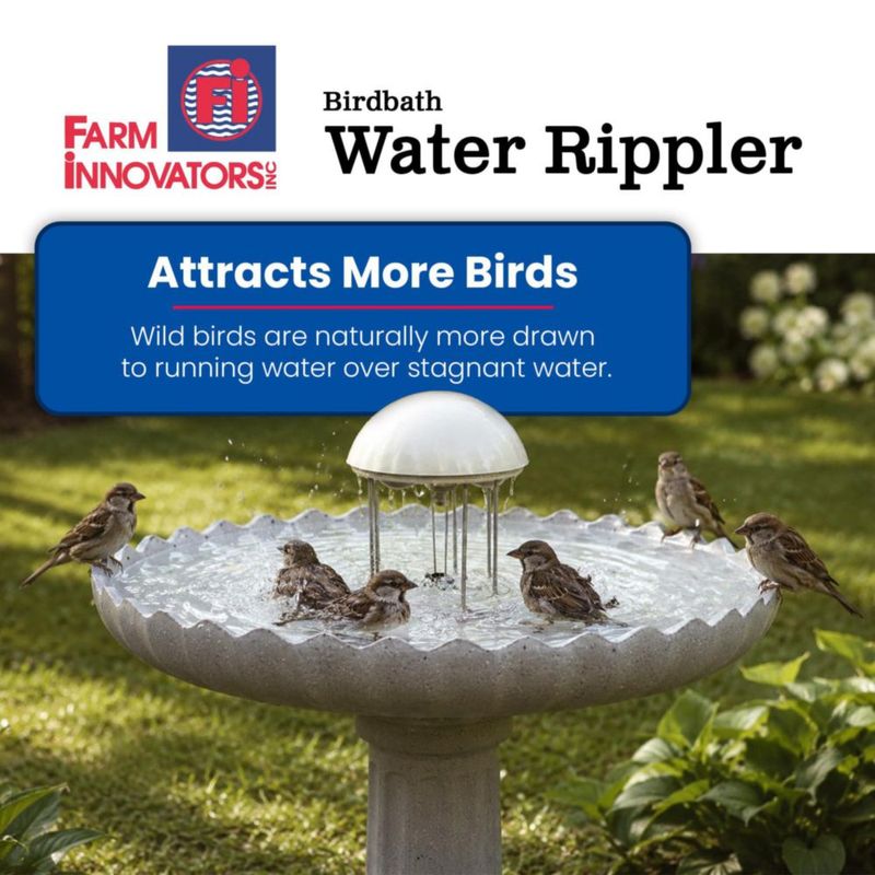 Agitador WR-25 Rippler para Bebedero de Pájaros – Farm Innovators