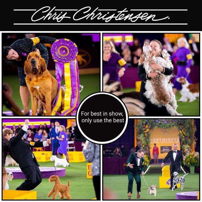 Cepillo para perros Chris Christensen 27 mm de pinchos de latón sin estática – Serie Fusion