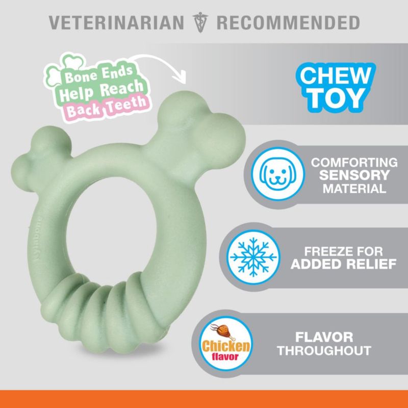 Juguete sensorial Nylabone para cachorro pequeño – Pack de 2