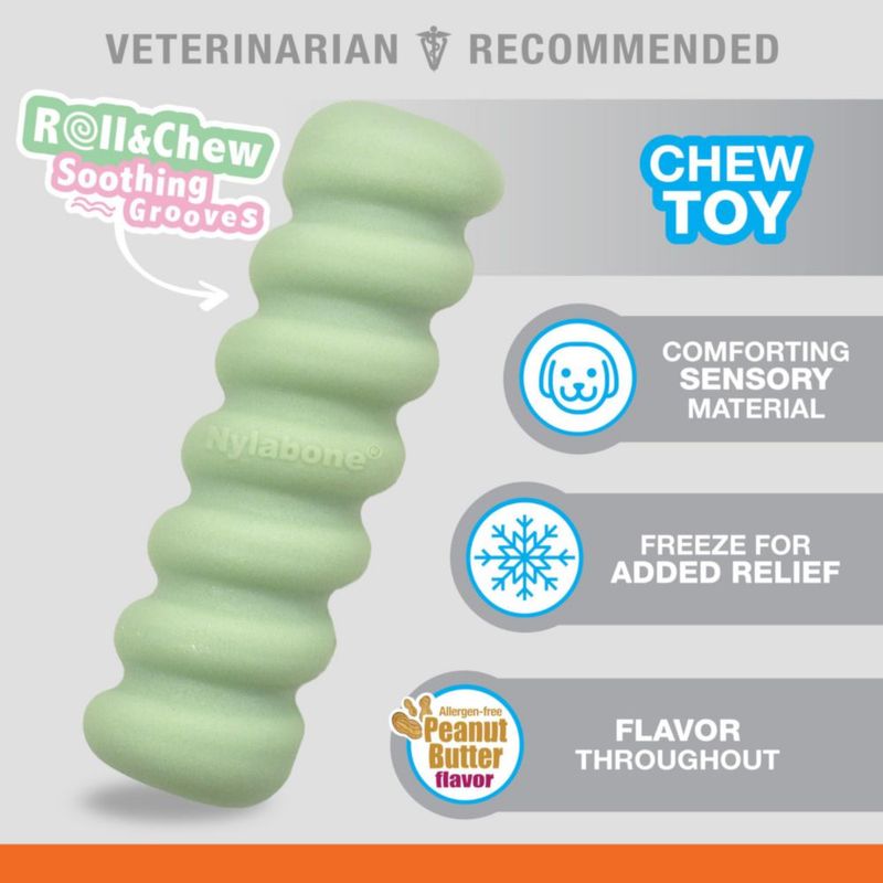 Juguete sensorial Nylabone para cachorro pequeño – Pack de 2