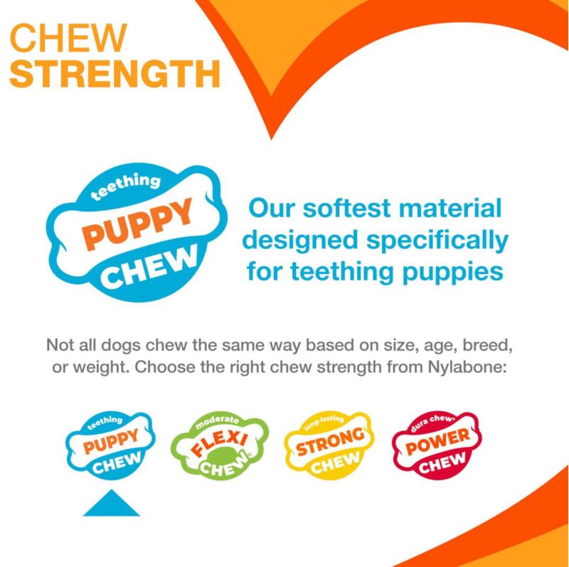 Juguete sensorial Nylabone para cachorro pequeño – Pack de 2