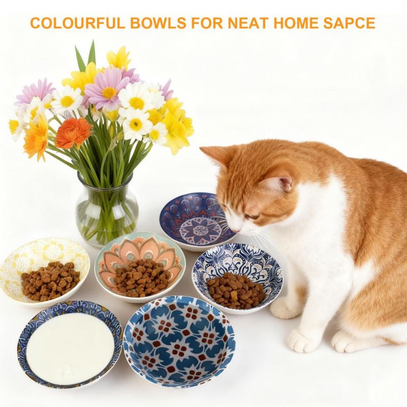 Tazones para gato HAPPY KIT pack de 6 145 cm antideslizante