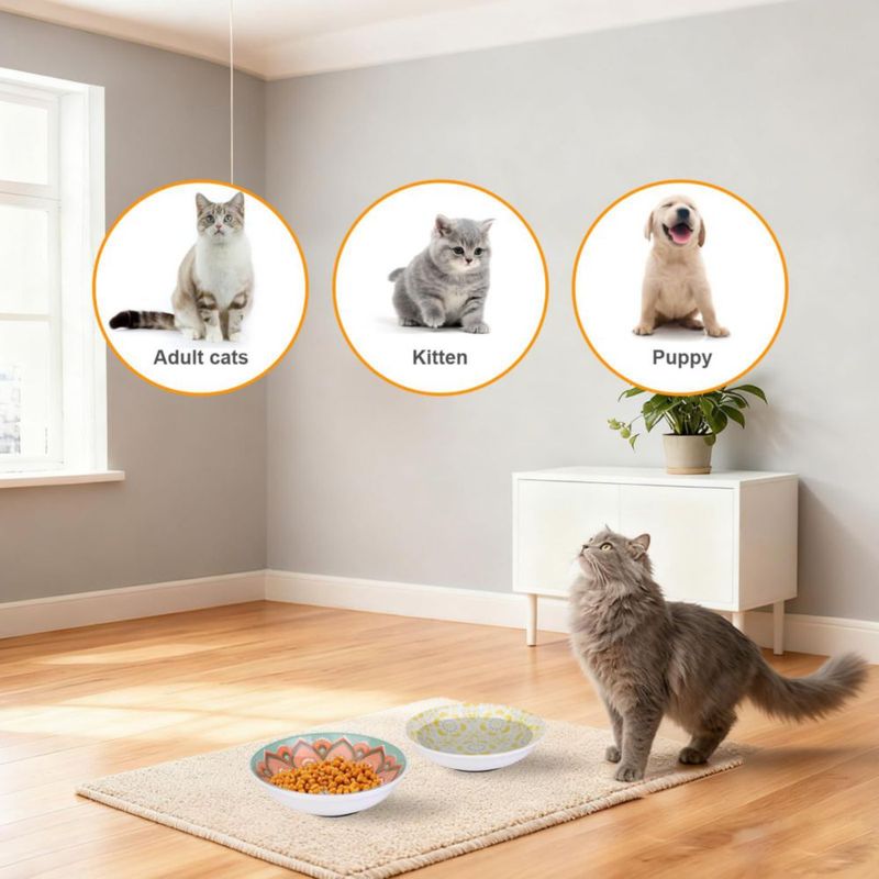 Tazones para gato HAPPY KIT pack de 6 145 cm antideslizante