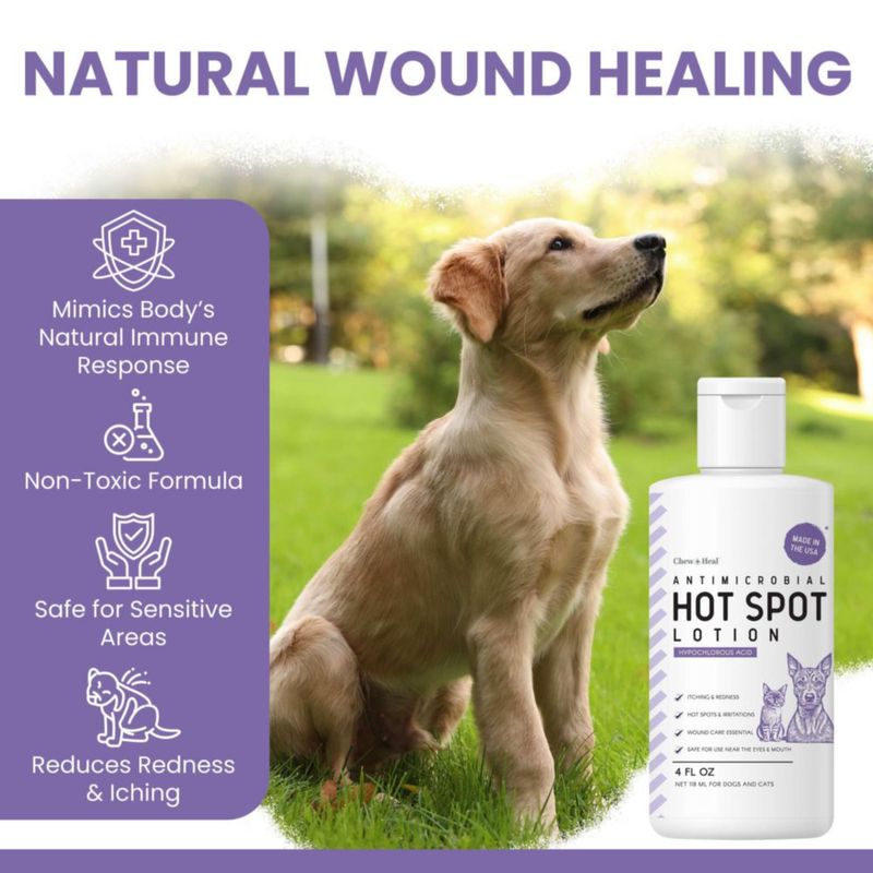 Loción para Perros Chew + Heal Labs 60 ml Alivio de Puntos Calientes