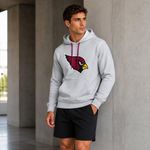 Sudadera Hoodie NFL Arizona Cardinals Manga Larga Gris Hombre