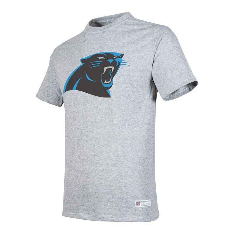 Playera Aficionado NFL Carolina Panthers Manga Corta Gris Hombre