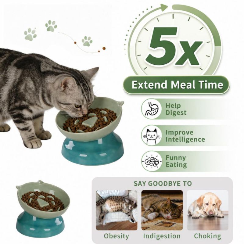 Cuenco para gato KittyDine de cerámica con inclinación de 15° y alimentador lento