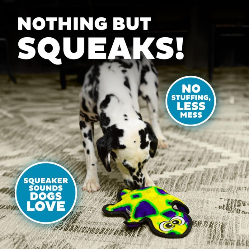 Juguete para perro Outward Hound Gecko de 35 cm peluche sin relleno y silbato