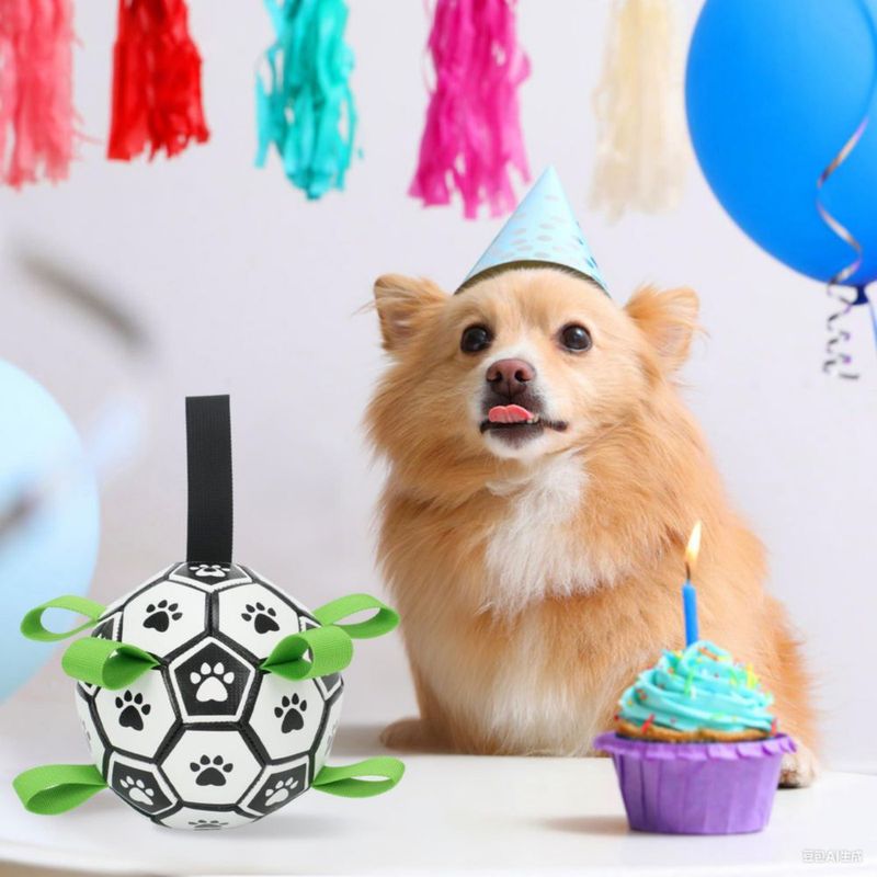 Pelota de fútbol para perros Kylinsure 15 cm con correas
