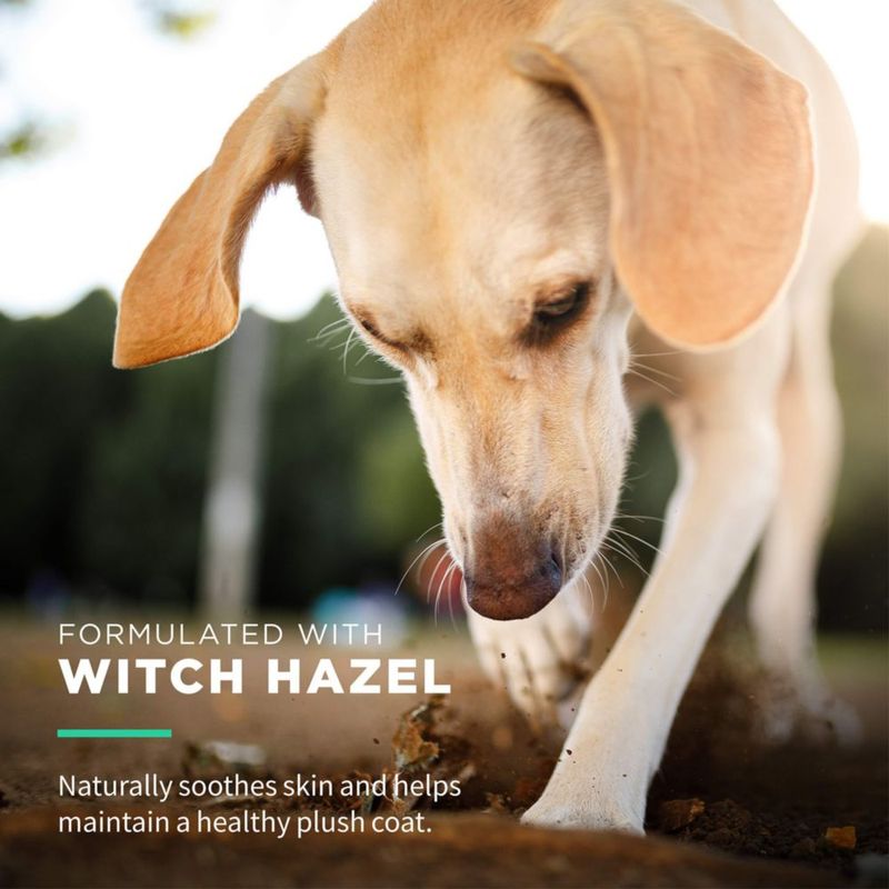 Toallitas Húmedas para Perros Wet Ones 30 Unidades con Aroma a Hamamelis
