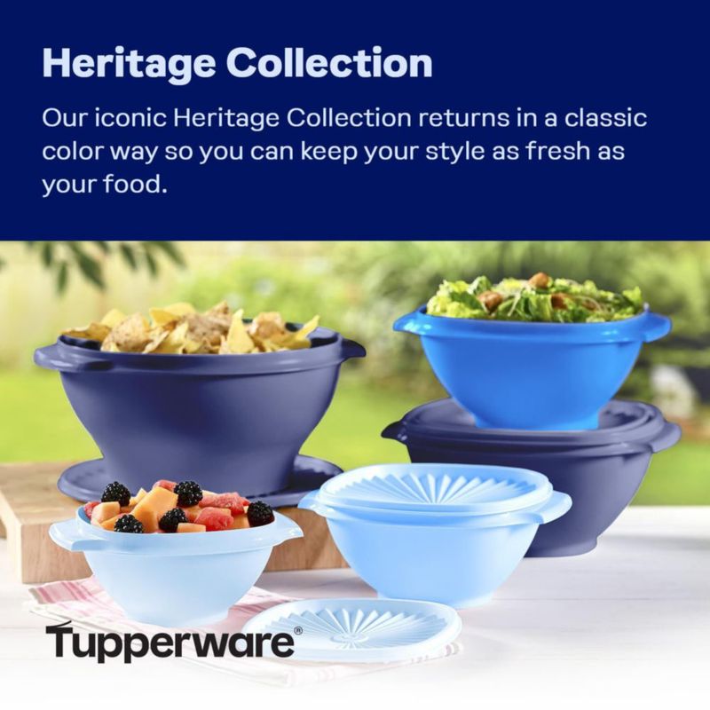 Juego de Almacenamiento de Alimentos Tupperware 10 Piezas Vintage Azul