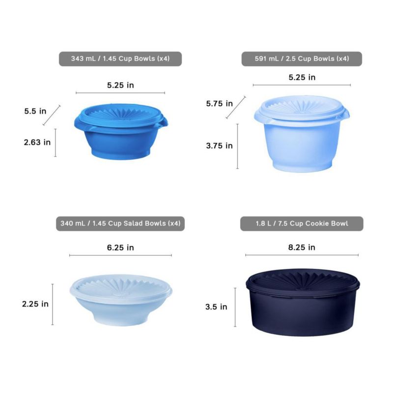 Juego de Almacenamiento de Alimentos Tupperware 10 Piezas Vintage Azul