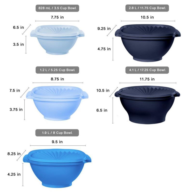 Juego de Almacenamiento de Alimentos Tupperware 10 Piezas Vintage Azul